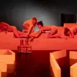 Lalele pasari si beton