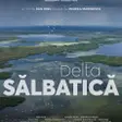 Delta Sălbatică