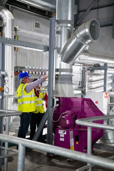 Sieta